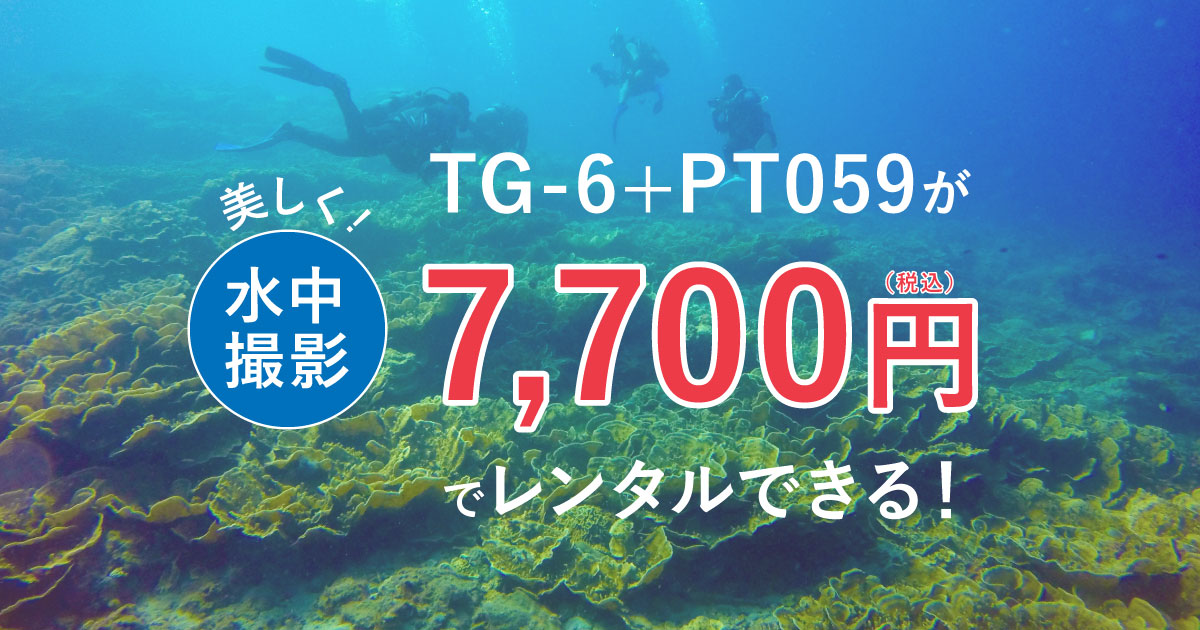 tg6_pt059_rental_thumbnail